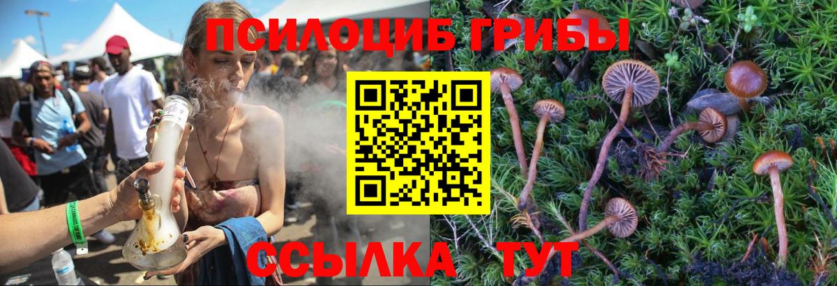Псилоцибиновые грибы ЛСД Сегежа